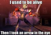 I Took an Arrow in the Knee