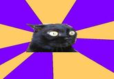 Anxiety Cat
