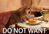 Do Want / Do Not Want