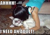 I need an adult