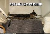 You Shall Not Pass!!!