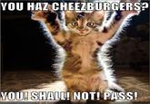 You Shall Not Pass!!!