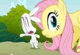 My Little Pony: Friendship is Magic