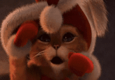 Cats