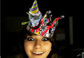 Boxxy