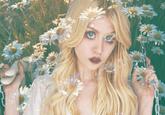 Creepy Chan (Allison Harvard)