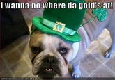 Mobile Leprechaun