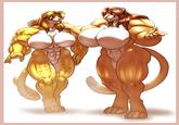 Furries