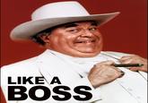 Like A Boss