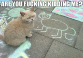 LOLcats