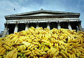 Suddenly, Bananas! Thousands Of Them!