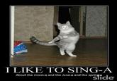 Average Cats