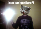 Need Moar Lens Flare