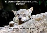 Ignorant to Adversity wolf