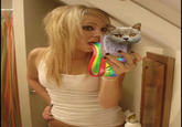 Self Pop Tart