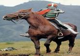 Kamen Rider