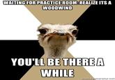 Memes