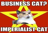 Lenin Cat