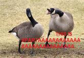 This Is Sparta!