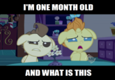 I'm Twelve Years Old and What is This?