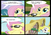 My Little Pony: Friendship is Magic