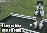 I Have No Idea What I'm Doing