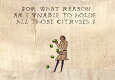 Medieval Macros / Bayeux Tapestry Parodies