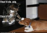 that'll do pig that'll do