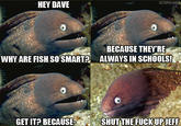 Bad Joke Eel