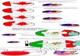 Polandball