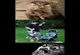 Oh Crap / OMG Rage Face