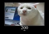 HTTP Status Cats