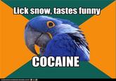 Paranoid Parrot