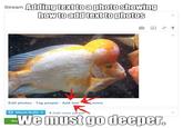 Google Plus / Google+