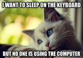 First World Problems Cat