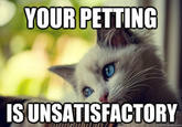 First World Problems Cat