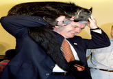 Newt Gingrich