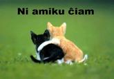 LOLcats