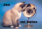 LOLcats