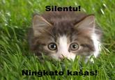 LOLcats