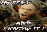 I'm Sexy And I Know It