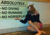 Horse Head Mask