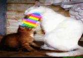 Puking Rainbows