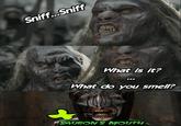 What is it? What do you smell?