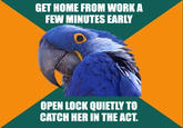 Paranoid Parrot