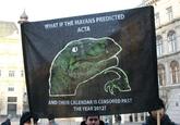 Philosoraptor