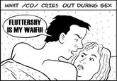 What 4chan Cries Out During Sex
