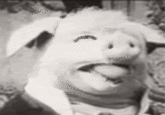 Reaction Faces