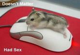 Doesn't Matter, Had Sex