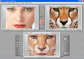 Morphing